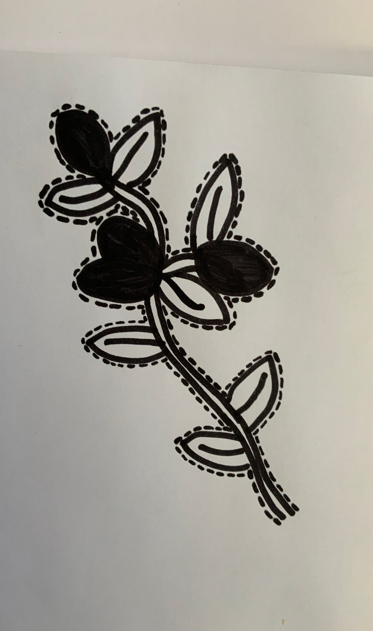 Conkerberry Women Crop Top Rash Guard