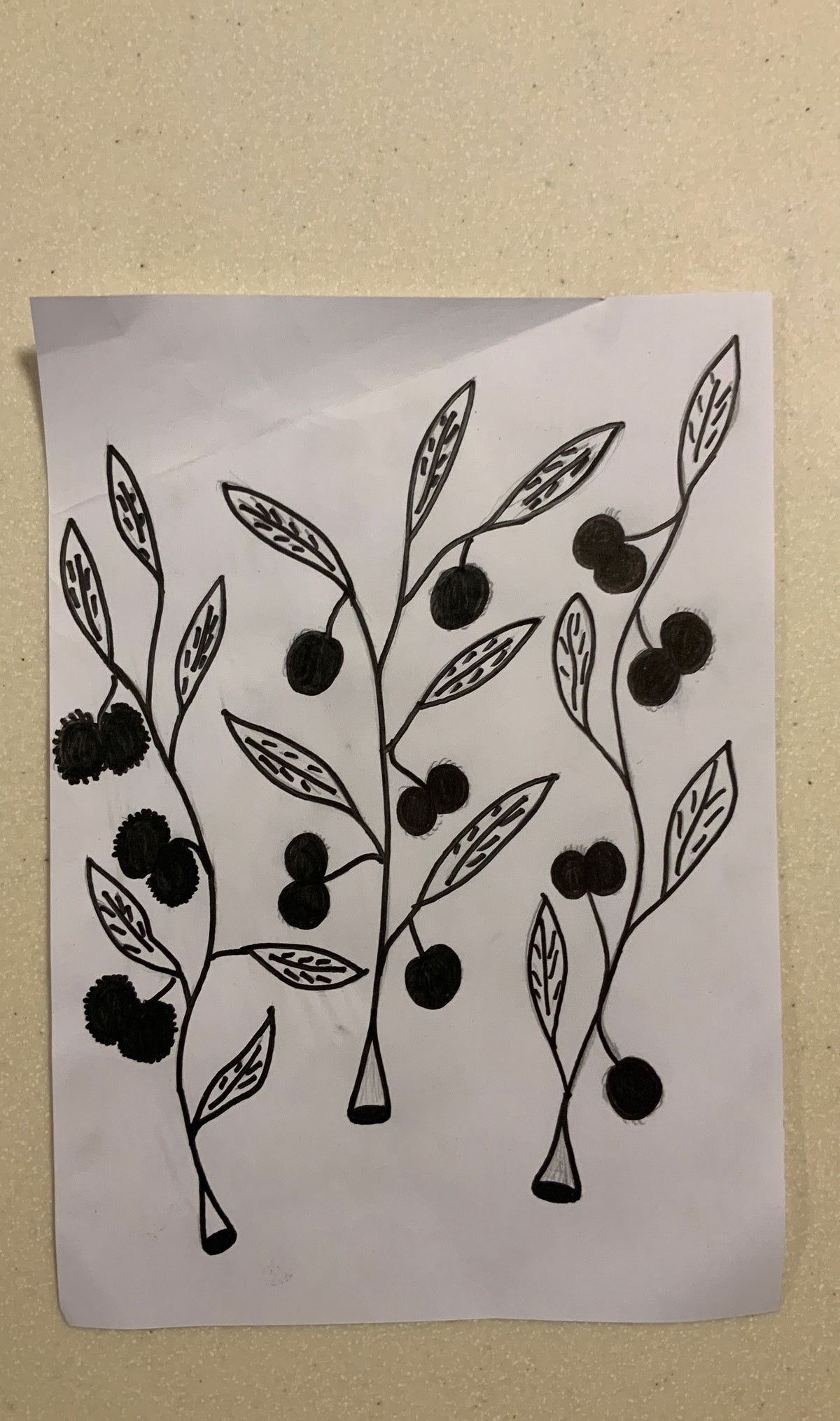 Wattle Tree Flower Women Crop Top Rash Guard