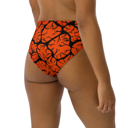 Mud Flats high-waisted bikini bottom-Kirsty Burgu-PaletTheory