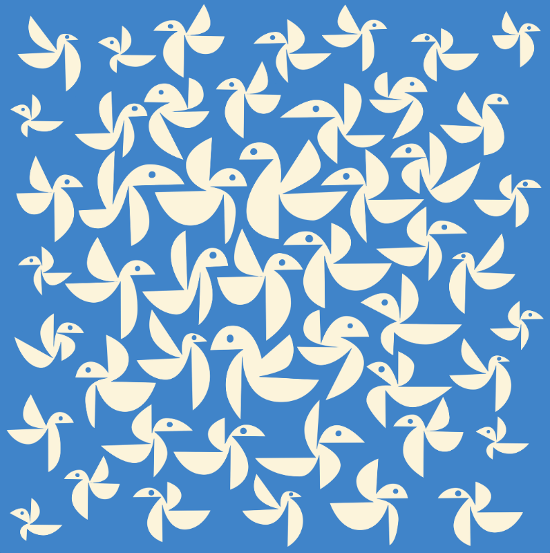 Birds Crop Top Rashie