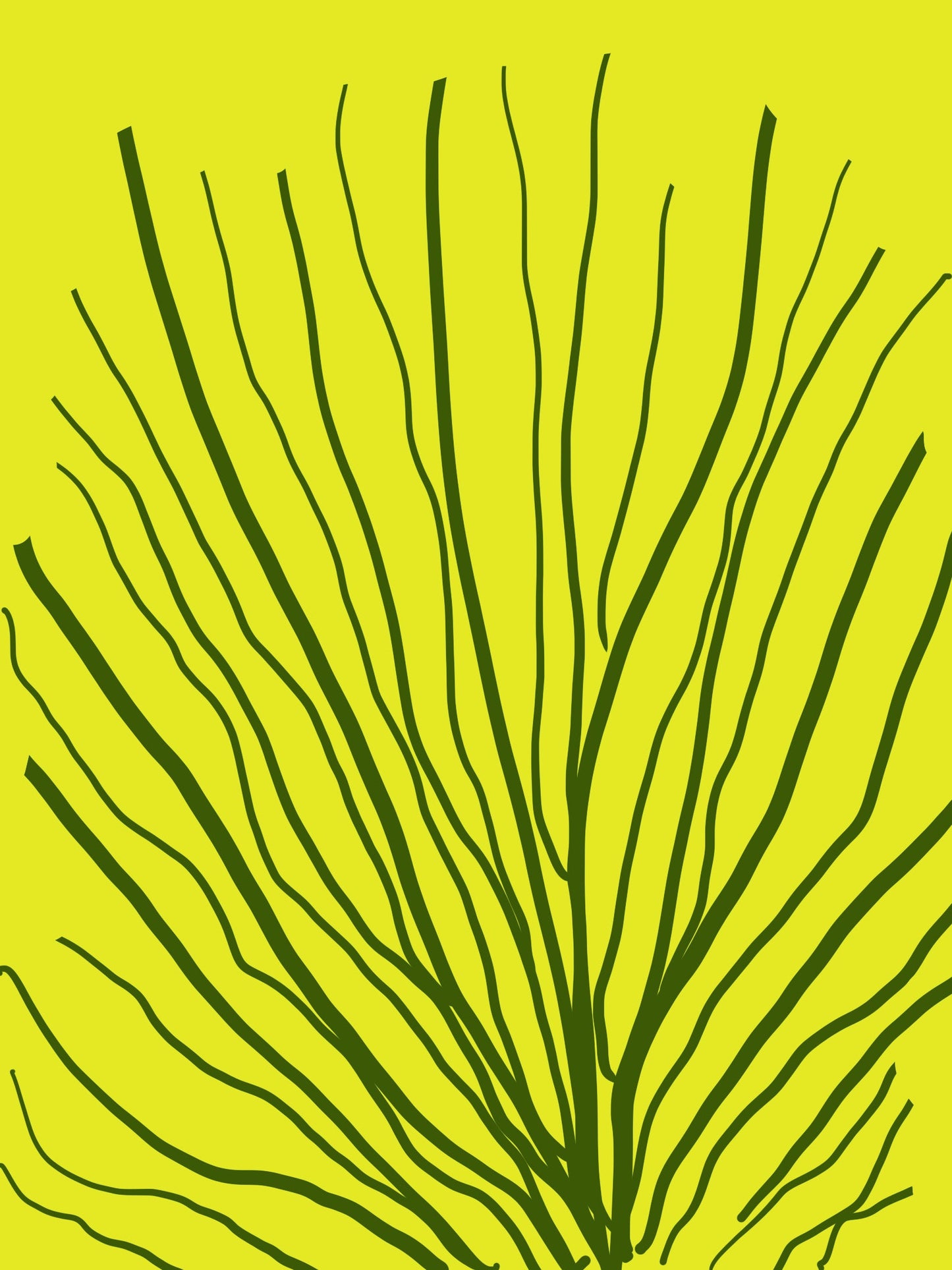 Arnjil Mindi Bralette Top