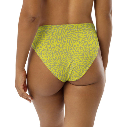 Wobbly Recycled high-waisted bikini bottom-Thomas Heinz-PaletTheory